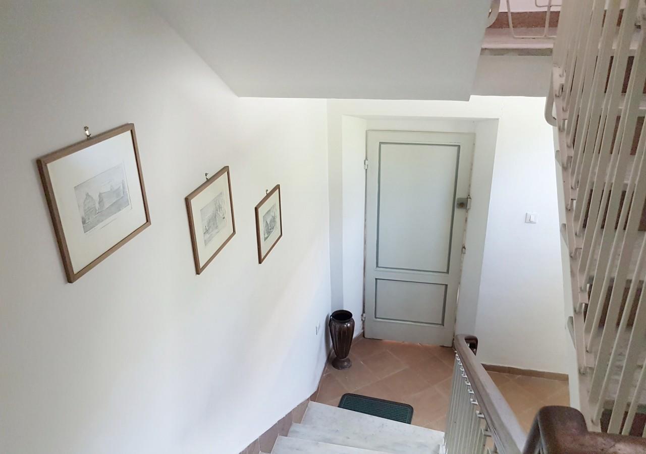La Coccinella Guest House Πίζα Εξωτερικό φωτογραφία
